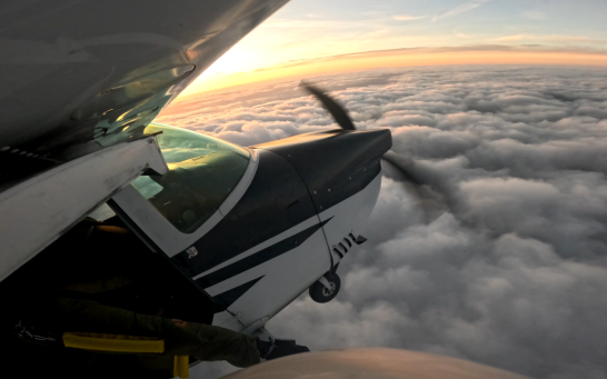PH-AML